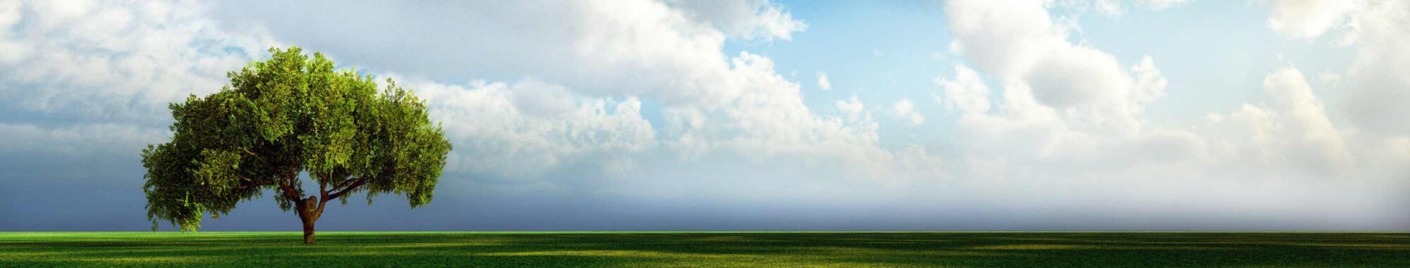 Bio Sac 200 opbaren zonder koeling